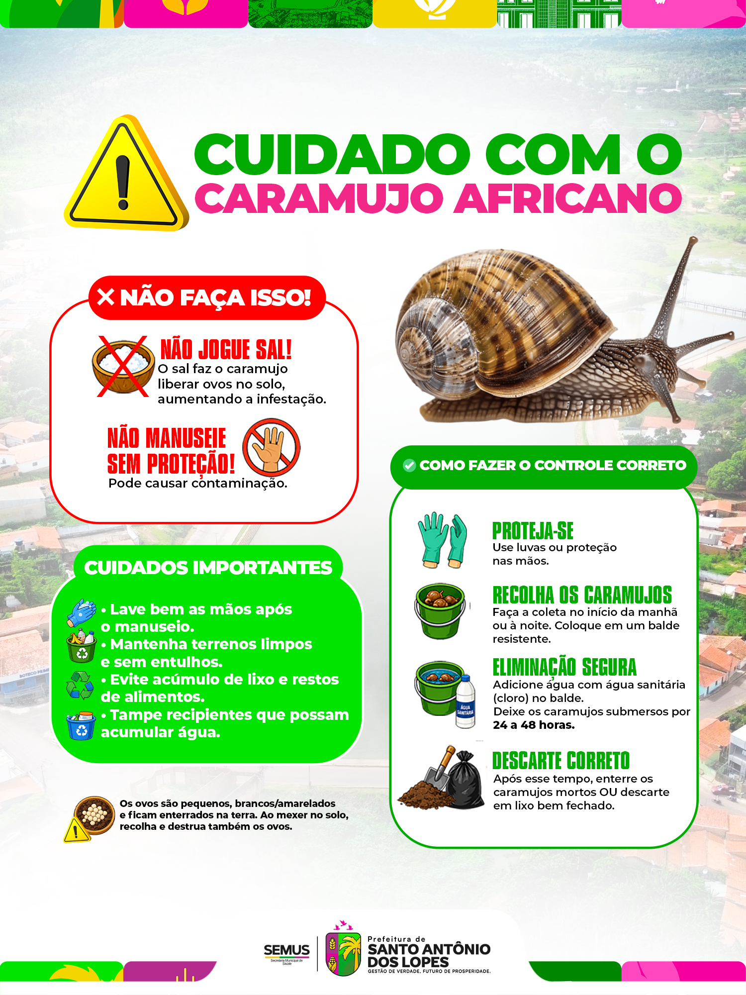 CUIDADO COM O CARAMUJO AFRICANO