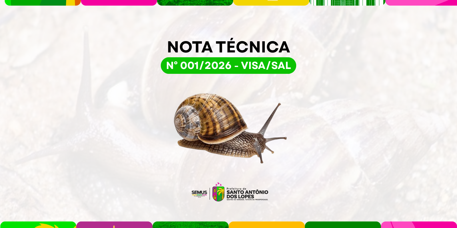NOTA TÉCNICA Nº 001/2026 – VISA/SAL